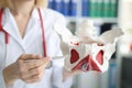 Doctor gynecologist showing layout of female pelvis with muscles closeup