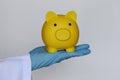 Doctor hand holding blue piggy bank on white background, Health insurance concept Royalty Free Stock Photo