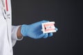 doctor hand holding plastic dental teeth model on table Royalty Free Stock Photo