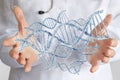 Doctor hands show DNA molecules Royalty Free Stock Photo