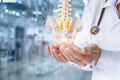 Doctor hands show the spine Royalty Free Stock Photo