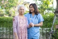 Doctor help and care Asian senior or elderly old lady woman use walker with strong health while walking at park in happy fresh Royalty Free Stock Photo