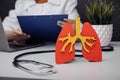 The doctor at his office and model of a human lung