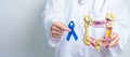 Doctor holding Blue ribbon with human Colon anatomy model. March Colorectal Cancer Awareness month, Colonic disease, Large