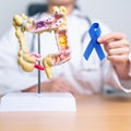 Doctor holding Blue ribbon with human Colon anatomy model. March Colorectal Cancer Awareness month, Colonic disease, Large