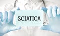 Doctor holding card in hands and pointing the word SCIATICA Royalty Free Stock Photo