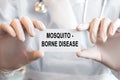 Doctor holding a card with text Mosquito - orne disease Royalty Free Stock Photo