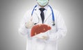 Doctor holding healthy liver , liver concept