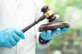 Doctor holding judge gavel, forensic medicine, medical law and crime justice concept