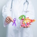 Doctor holding Purple ribbon with human Pancreas model for support Pancreatic cancer November awareness month, Pancreatitis,