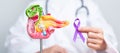 Doctor holding Purple ribbon with human Pancreas model for support Pancreatic cancer November awareness month, Pancreatitis,