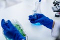 Doctor holding test tube with blue liquid, laboratory analysis for microscopic Royalty Free Stock Photo