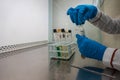 Doctor holding test tube with sample for analysis in laboratory, closeup Royalty Free Stock Photo