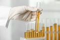 Doctor holding test tube with urine sample for hemp analysis in laboratory