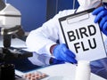 Doctor holds Bird flu diagnosis in the clinic Royalty Free Stock Photo