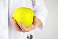 Doctor holds green apple. Big green apple in doctor`s hand. Health in your hands Royalty Free Stock Photo