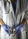 Doctor holds two vials vaccine in a hospital Royalty Free Stock Photo