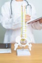 Doctor with human Spine anatomy model. Spinal Cord Disorder and disease, Back pain, Lumbar, Sacral pelvis, Cervical neck, Thoracic Royalty Free Stock Photo