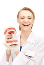 Doctor with jaws Royalty Free Stock Photo