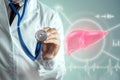 Doctor and Liver Hologram, liver pain and vital signs. Concept for technology, hepatitis treatment, donation, online diagnostics Royalty Free Stock Photo