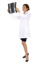 Doctor looking at x-ray Royalty Free Stock Photo