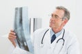 Doctor looking at xray picture of spine in office Royalty Free Stock Photo