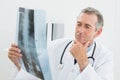 Doctor looking at xray picture of spine in office Royalty Free Stock Photo