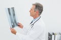 Doctor looking at xray picture of spine in office Royalty Free Stock Photo