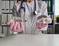 Doctor mammologist holds silicone breast implant closeup Royalty Free Stock Photo