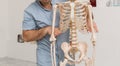 Doctor man pointing on ribs of human skeleton anatomical model. Physiotherapist explaining joints model. Chiropractor or
