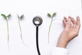 Doctor measures temperature of plant sprouts with thermometer. Concept of plantsÃ¢â¬â¢ health