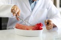 Doctor of medicine examining anatomical model in lab