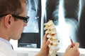 Doctor with model of spine watching radiogram