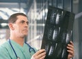 Doctor with mri x-ray Royalty Free Stock Photo