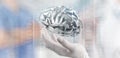 Doctor neurologist hand show metal brain