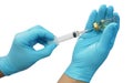 Doctor or nurse hand blue glove holding syringe and brown bottle ampoule for injection on white background with clipping paths. Royalty Free Stock Photo