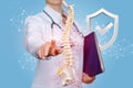A doctor operating with artificial spine model with shield with quality sign inside Royalty Free Stock Photo