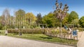 The Doctor Park in Randers. people sit and drink coffee in nature. picnic in the park. Children play in the playground Royalty Free Stock Photo