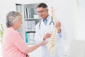 Doctor and patient having discussion over anatomical spine