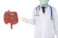 Doctor point to intestine human Royalty Free Stock Photo