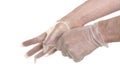 Doctor pulling on surgical glove Royalty Free Stock Photo