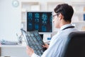 The doctor radiologist looking at x-ray images Royalty Free Stock Photo