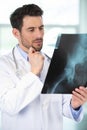 Doctor radiologist looking at x-ray images Royalty Free Stock Photo
