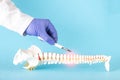 Doctor`s hand with a scalpel near the mock up of the human spine on a blue background. Spine surgery concept, vertebroplasty, cop Royalty Free Stock Photo