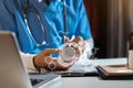 Doctor`s hands writing prescription and holding bottle with pills. Royalty Free Stock Photo