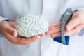 Doctor or scientist holds in one hand figure of brain in another - neurological reflex rubber hammer. Concept photo of neurology,