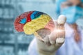 Doctor set lock on on human brain function