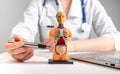 Doctor showing internal organs in 3d human model. Woman with stethoscope in lab coat sitting at table with laptop and Royalty Free Stock Photo