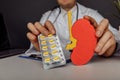 Doctor showing a model of kidney and pills. Healthcare concept