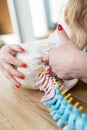 The doctor shows the department of the cervical vertebrae to the patient